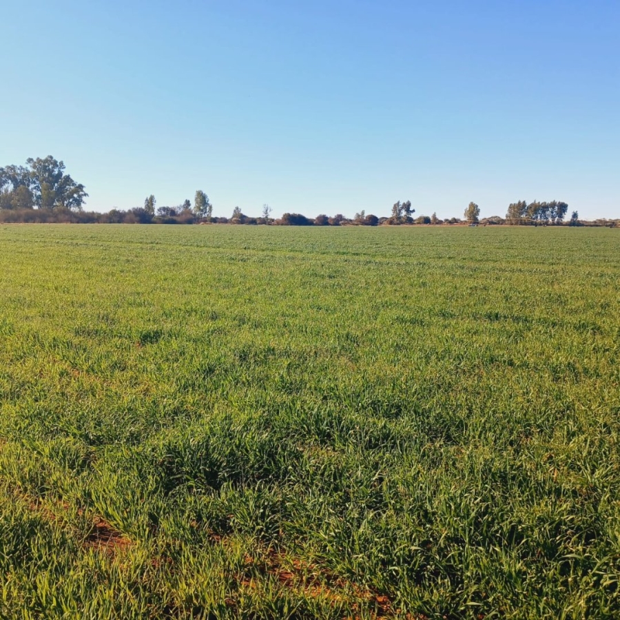  Bedroom Property for Sale in Barkly West Rural Northern Cape